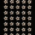 Standard (set of 30)