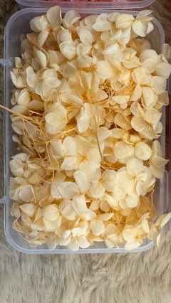 Dry flowers (full box)