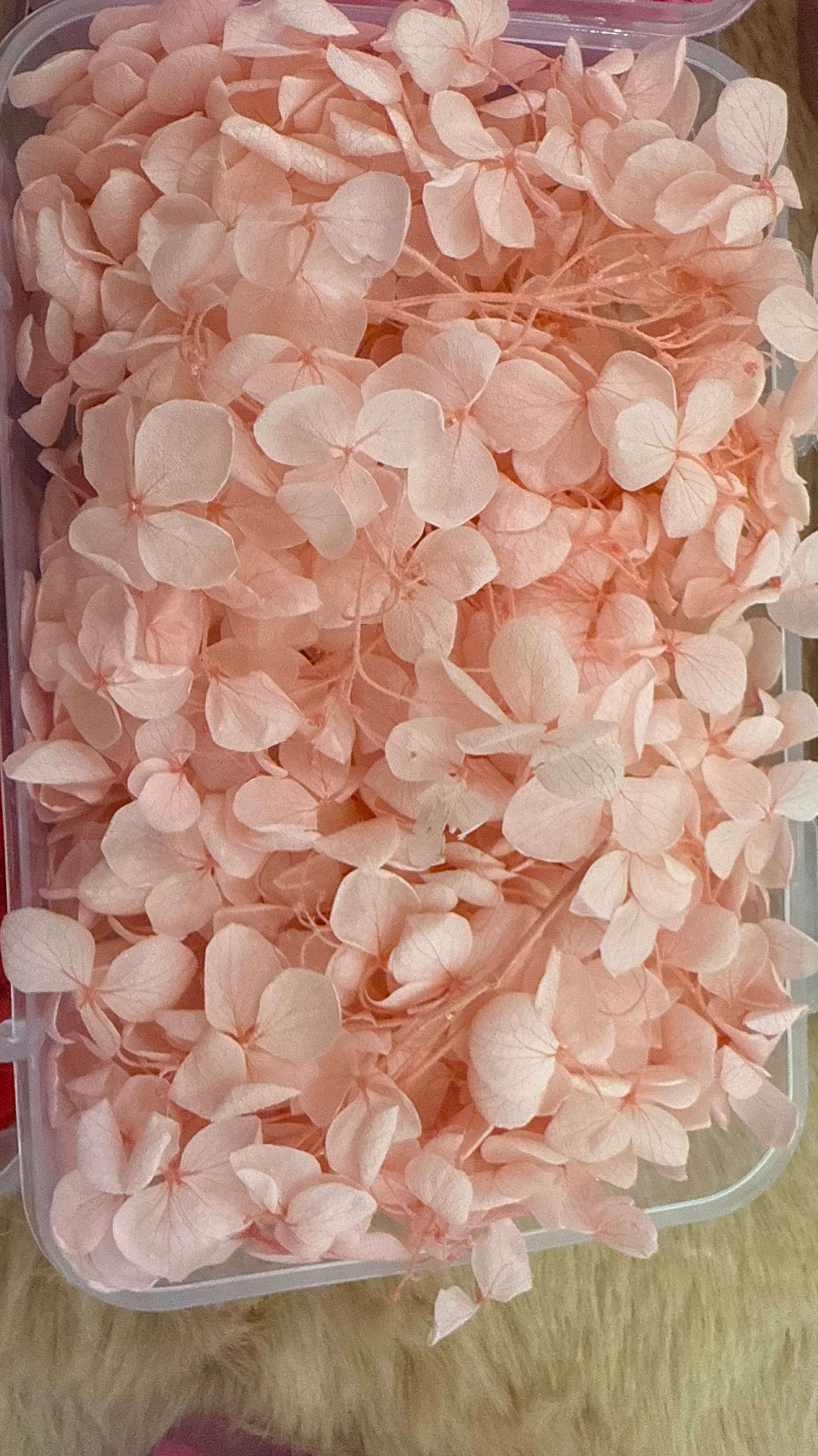 Dry flowers (full box)