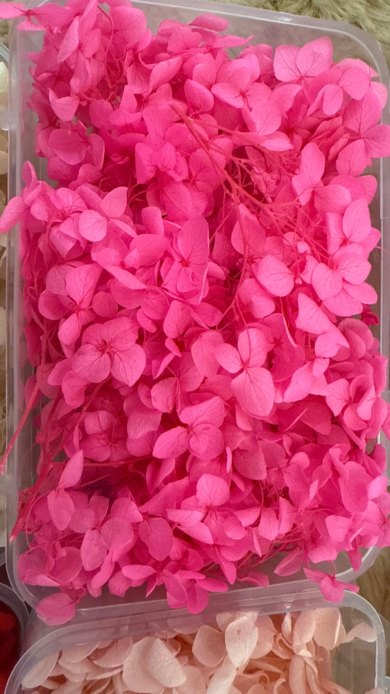 Dry flowers (full box)