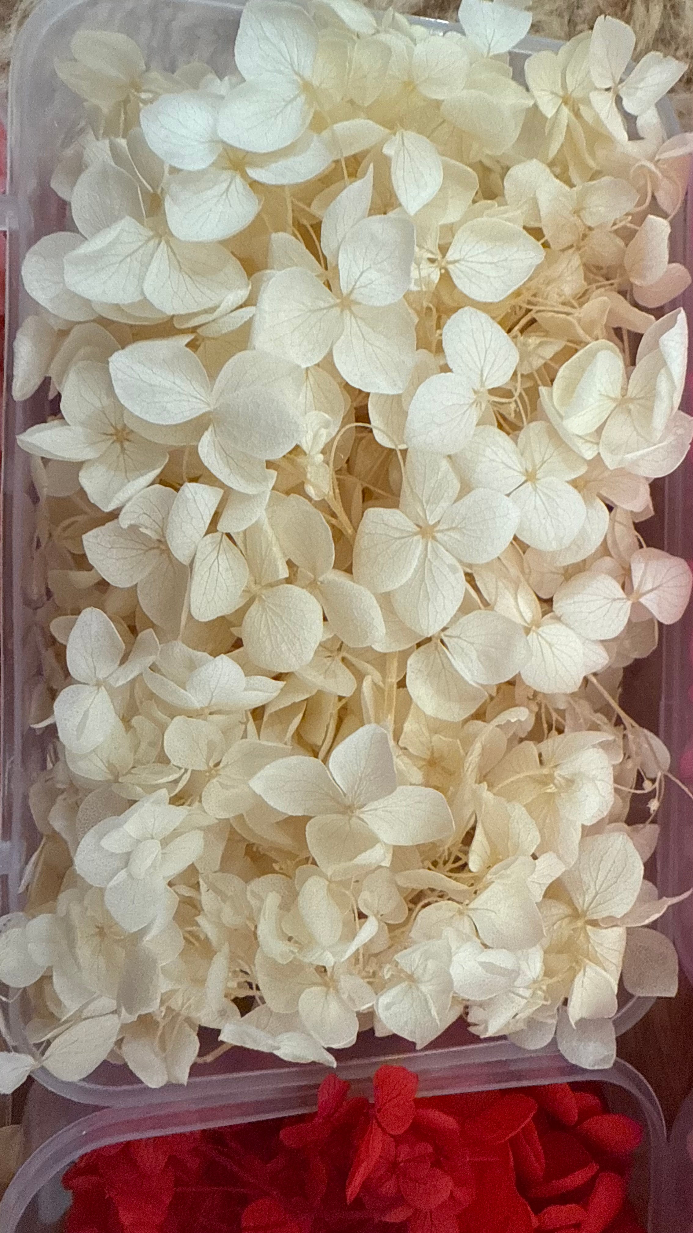 Dry flowers (full box)
