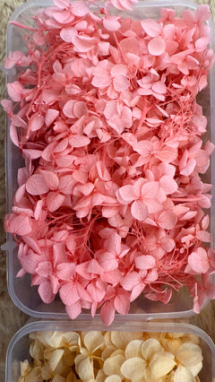 Dry flowers (full box)