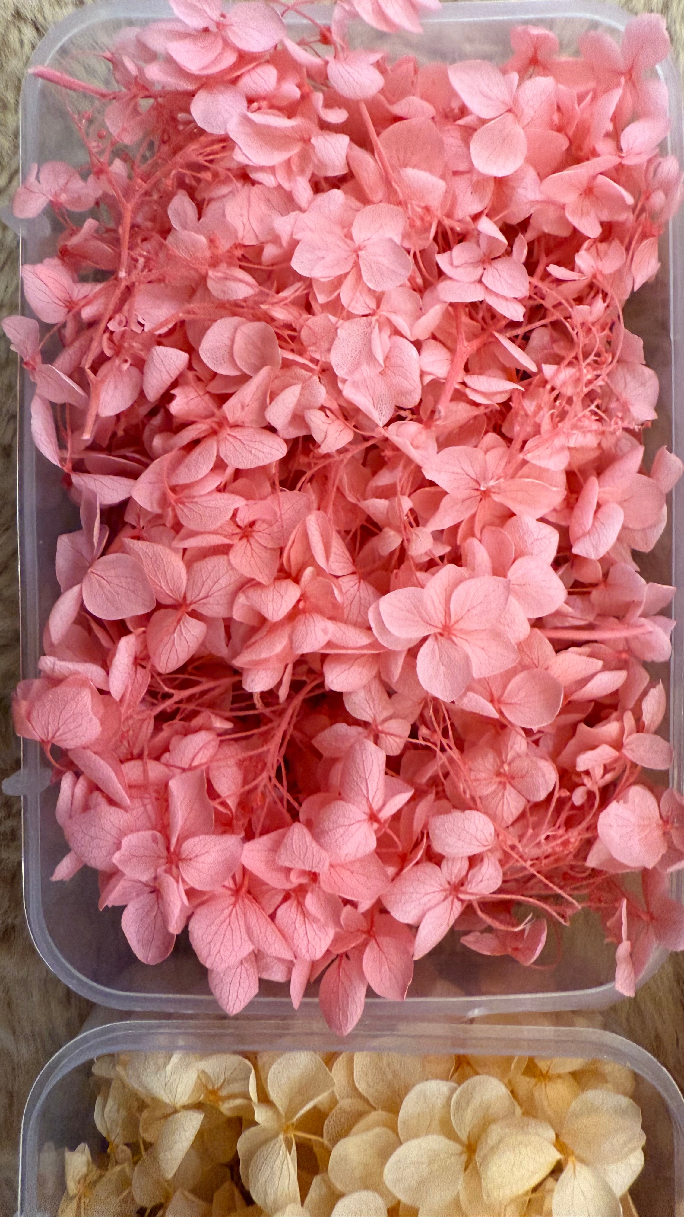 Dry flowers (full box)