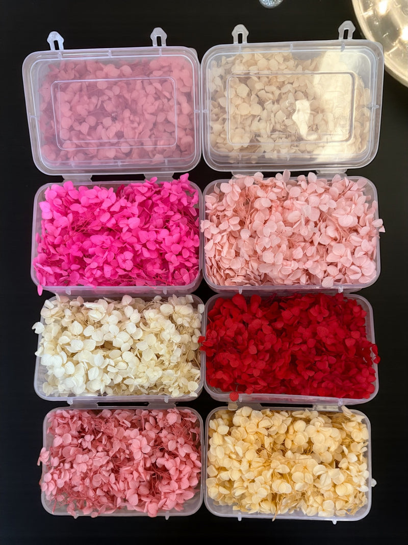 Dry flowers (full box)