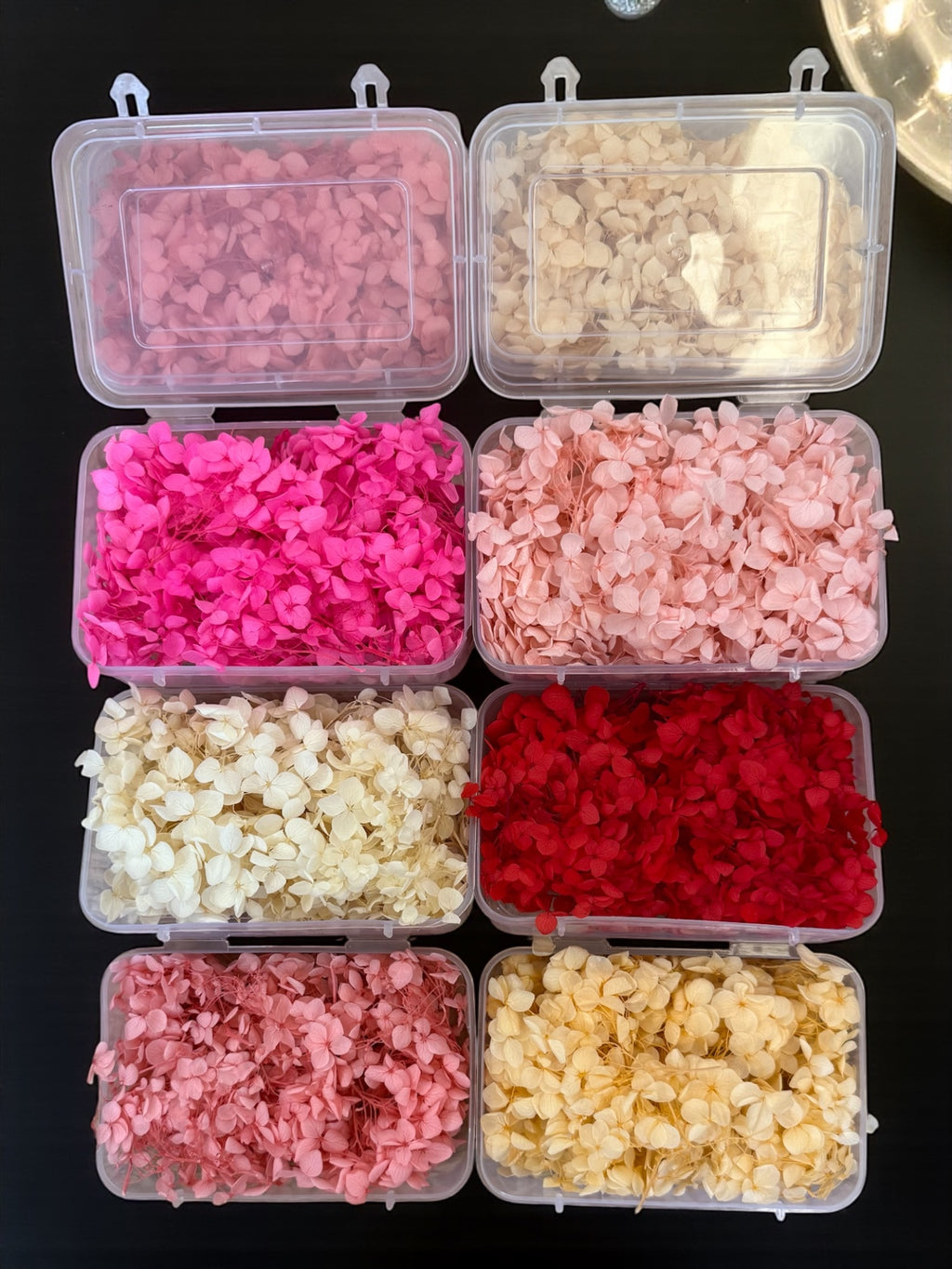 Dry flowers (full box)