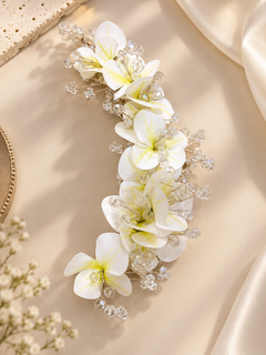 Orchid Floral Bloom
