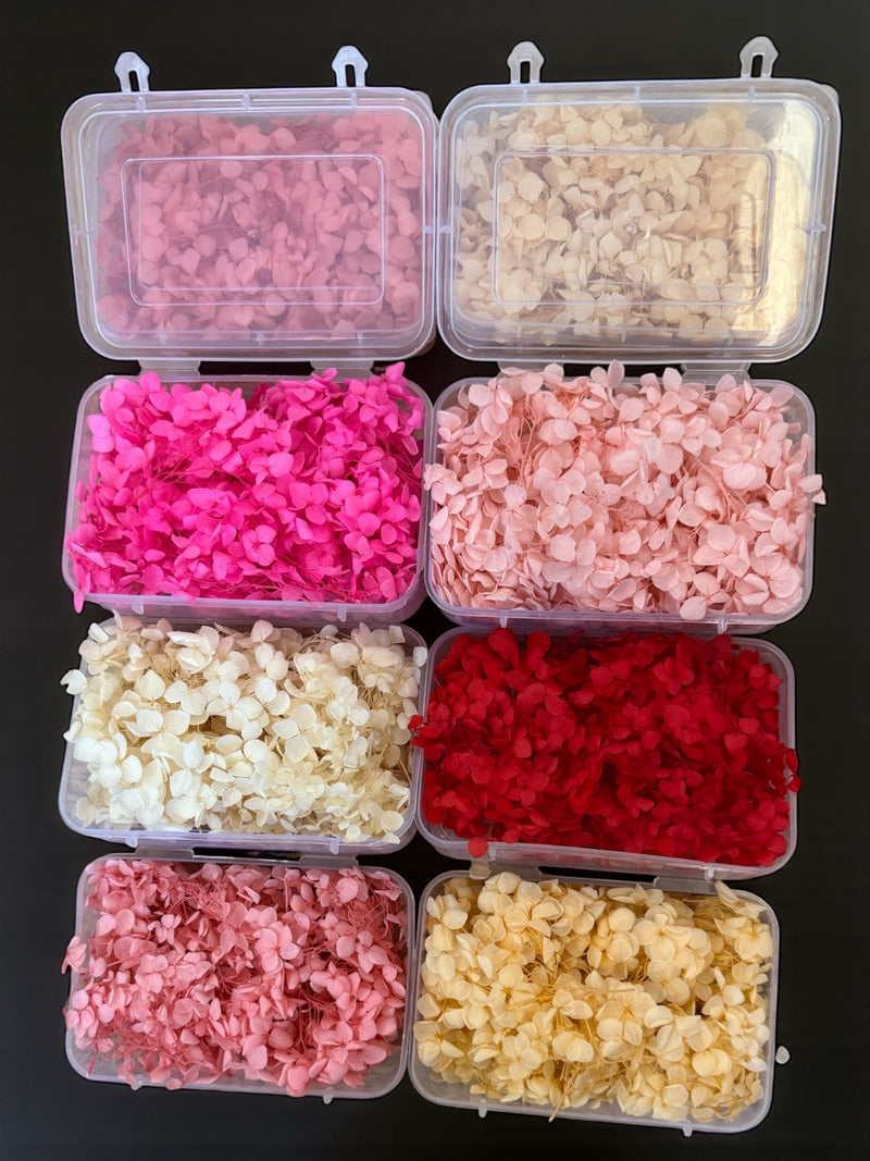 Dry flowers (full box)