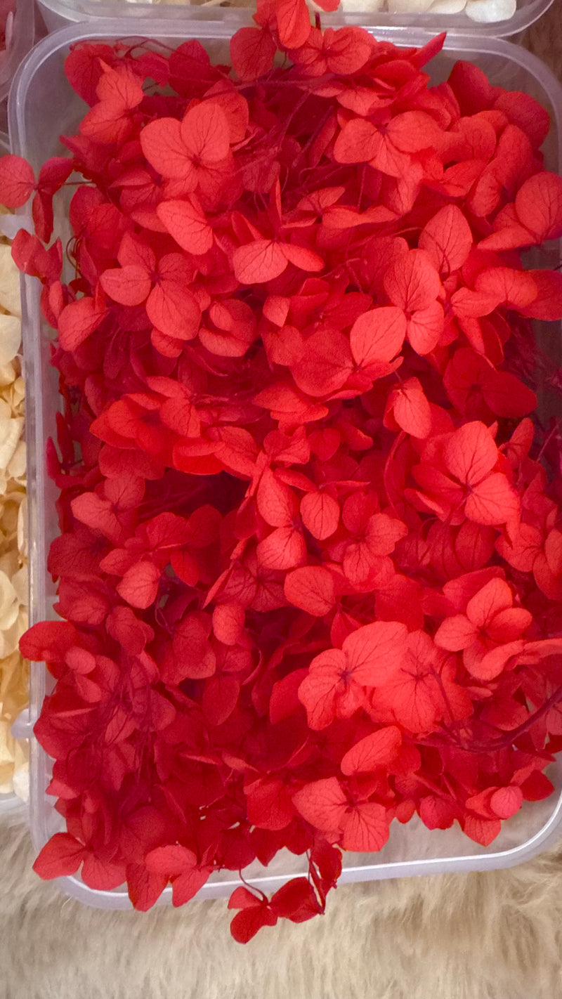 Dry flowers (full box)