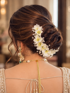 Orchid Floral Bloom
