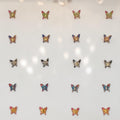 Shiny Butterfly