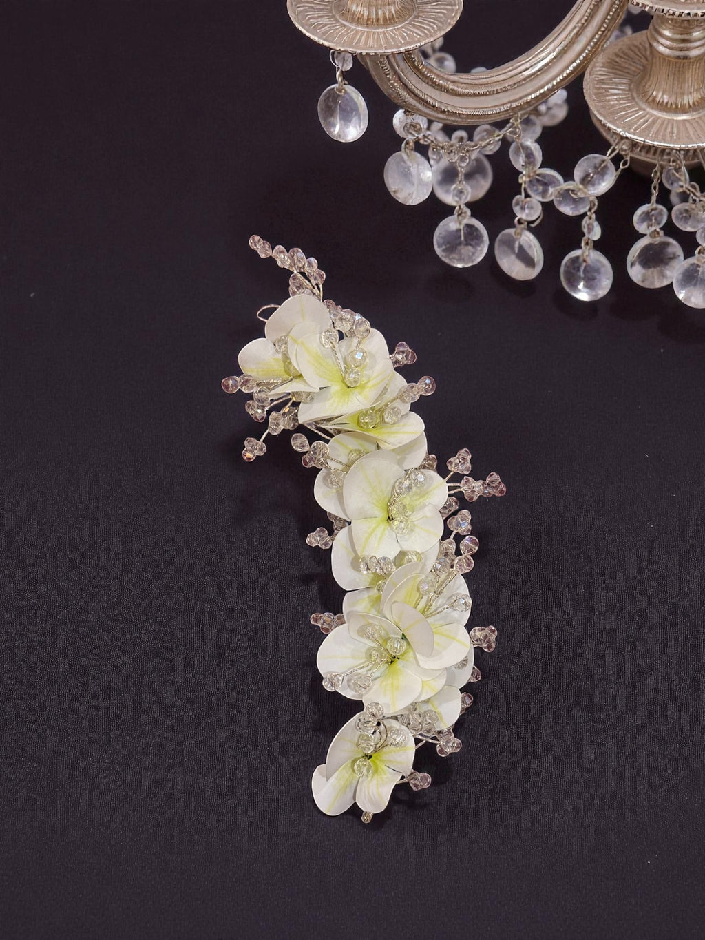 Orchid Floral Bloom