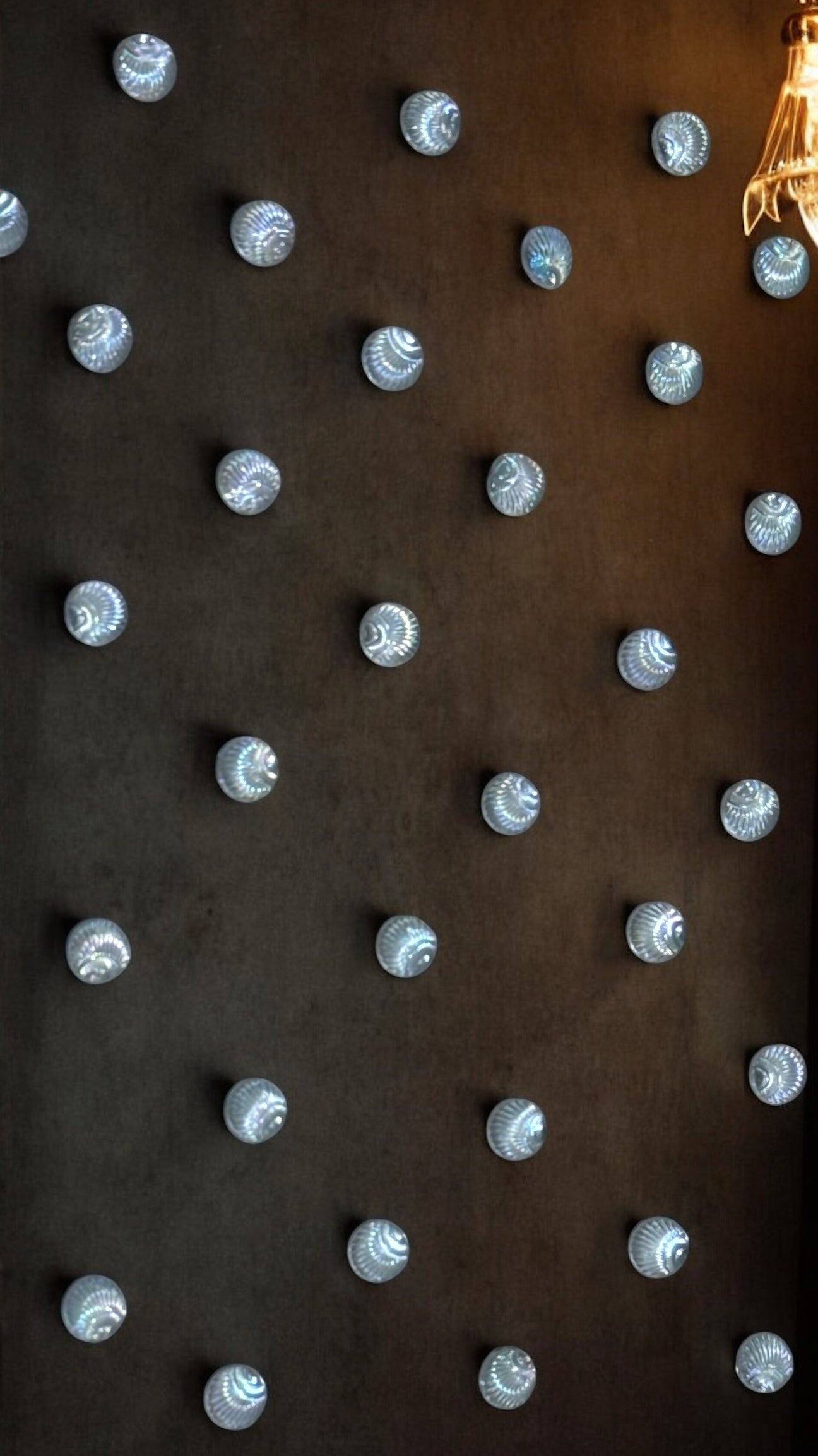 Pearl Shell Hair Stickers